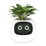 Masdio Smart Flowerpots with AI & Time Display