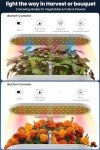 inBloom Hydroponic Indoor Garden with LED Grow Light