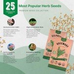 25 Popular Herb Seeds Variety Pack - Non-GMO