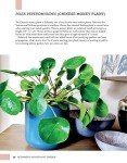 Indoor Gardening Guide: 40 Houseplants for Beginners