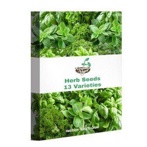 Heirloom Culinary Herb Seeds Gift Pack - 15,000+ Seeds