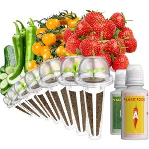 Red Strawberry Seeds for Hydroponic Indoor Gardens