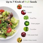 Red Strawberry Seeds for Hydroponic Indoor Gardens