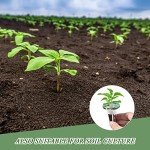 Tigvio 50-Piece Seed Pod Kit for Hydroponics