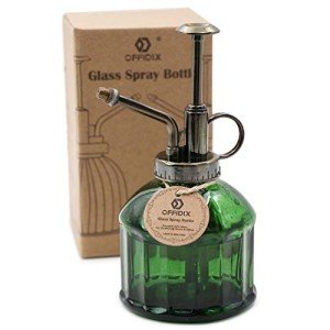 Vintage Glass Plant Mister Spray Bottle