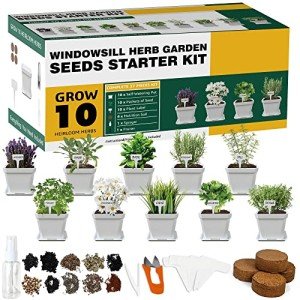 DIY Indoor Herb Garden Starter Kit with Seeds
