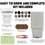 DIY Indoor Herb Garden Starter Kit with Seeds