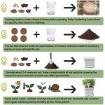 DIY Indoor Herb Garden Starter Kit with Seeds