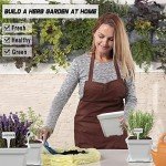 DIY Indoor Herb Garden Starter Kit with Seeds