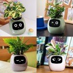 Masdio Smart Flowerpots with AI & Time Display