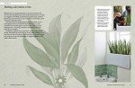 Kew Gardener’s Guide: Growing House Plants Volume 3