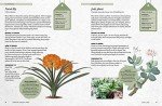 Kew Gardener’s Guide: Growing House Plants Volume 3