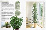 Kew Gardener’s Guide: Growing House Plants Volume 3