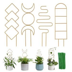 Wellsign 16-inch Gold Indoor Plant Trellis - 4 Pack