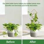 Wellsign 16-inch Gold Indoor Plant Trellis - 4 Pack