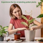 Wellsign 16-inch Gold Indoor Plant Trellis - 4 Pack