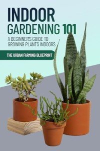 Indoor Gardening 101: Your Beginner's Growing Guide
