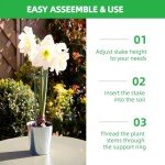 Adjustable Plant Support Stakes - 4-Pack, 12-36