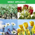 Adjustable Plant Support Stakes - 4-Pack, 12-36