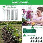 Adjustable Plant Support Stakes - 4-Pack, 12-36