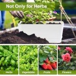 Self-Watering Herb Garden Planter Kit - 2 Pack