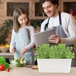 Self-Watering Herb Garden Planter Kit - 2 Pack