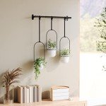 Umbra Triflora Set: 3 Hanging Indoor Planters