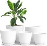 Indoor Plant Pots with Drainage - 5 Pack