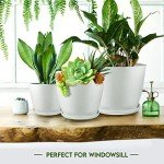 Indoor Plant Pots with Drainage - 5 Pack