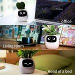 Masdio Smart Flowerpots with AI & Time Display