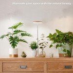 Adjustable Bamboo LED Grow Light for Indoor Plants
