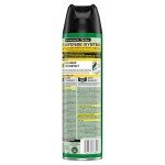 Insect Killer Spray for Indoor Plants - 11 oz