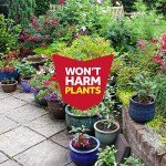 Insect Killer Spray for Indoor Plants - 11 oz