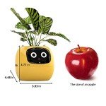 Masdio Smart Flowerpots with AI & Time Display