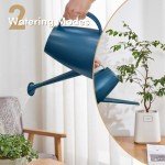 Modern 1/2 Gallon Watering Can for Plants