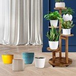 GEEBOBO 5-Tier Indoor Plant Stand - Walnut