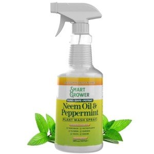 Neem Oil & Peppermint Plant Spray – 16oz