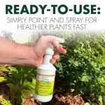 Neem Oil & Peppermint Plant Spray – 16oz