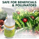 Neem Oil & Peppermint Plant Spray – 16oz