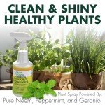 Neem Oil & Peppermint Plant Spray – 16oz