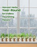Indoor Herb Garden Kit - Grow Fresh Herbs at Home