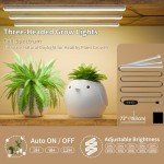 Multi-Tiered Indoor Plant Stand with Grow Lights