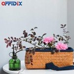 Vintage Glass Plant Mister Spray Bottle