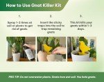 Kate's Bug Spray & Sticky Traps for Indoor Plants