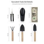 5-Piece Mini Garden Tool Set for Succulents