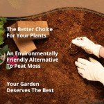 Coco Bliss Organic Coco Coir Bricks - 5-Pack