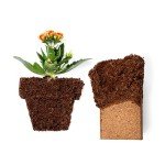 Coco Bliss Organic Coco Coir Bricks - 5-Pack