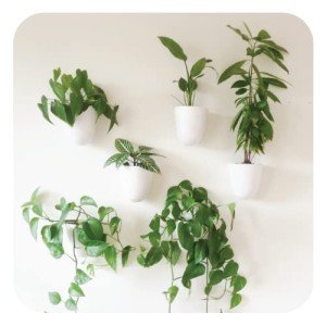Self-Watering Wall Planters - PlantPod Luxe Set