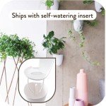 Self-Watering Wall Planters - PlantPod Luxe Set