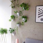 Self-Watering Wall Planters - PlantPod Luxe Set